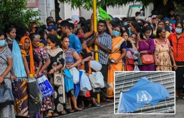 শ্রীলঙ্কায় ‘শিশুরা না খেয়ে ঘুমাতে যায়’: জাতিসংঘ